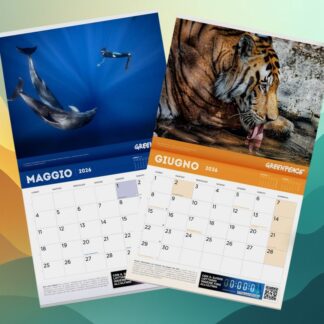 Kit 2 Calendari a 25 Euro!